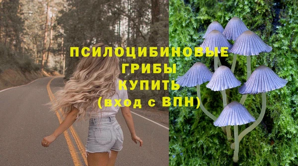 мяу мяу мука Верея