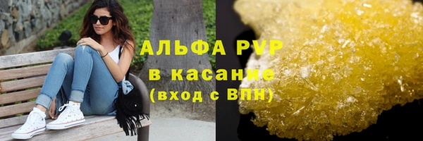 PSILOCYBIN Верхний Тагил
